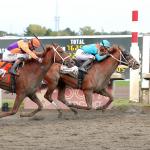 The Puma Wins Pennsylvania Derby, Bodacious Bay Takes Cotillion